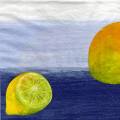 citron0023-3a.jpg (2673 octets)