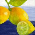 citron0023-3b.jpg (3082 octets)