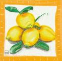 citron0026-1.jpg (3567 octets)
