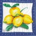 citron0026-2.jpg (4087 octets)