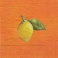 citron0027-1b.jpg (1869 octets)