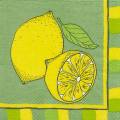 citron0028-2.jpg (3352 octets)