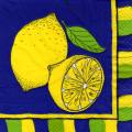citron0028-3.jpg (4284 octets)