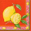 citron0029-2.jpg (3747 octets)