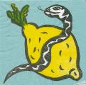 citron0030-1.jpg (4075 octets)