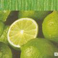 citron0032-1.jpg (3303 octets)