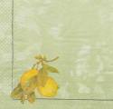 citron0033-1a.jpg (2051 octets)