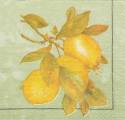 citron0033-1b.jpg (2723 octets)