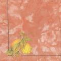 citron0033-2a.jpg (2431 octets)