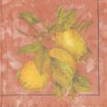 citron0033-2b.jpg (2541 octets)