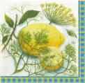 citron0035-1.jpg (4799 octets)