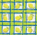 citron0036-1.jpg (5429 octets)