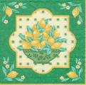 citron0037-1.jpg (4521 octets)