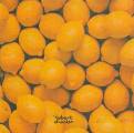 citron0038-1.jpg (3415 octets)