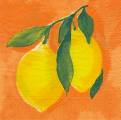 citron0040-1.jpg (2804 octets)