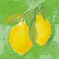 citron0040-2.jpg (2656 octets)