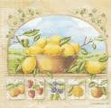 citron0041-1.jpg (3492 octets)