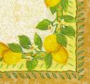 citron0042-1.jpg (4266 octets)