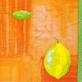 citron0043-1.jpg (2577 octets)