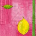 citron0043-2.jpg (2794 octets)