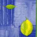 citron0043-3.jpg (3112 octets)