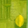 citron0043-4.jpg (2403 octets)