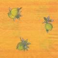 citron0046-1.jpg (2031 octets)
