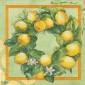 citron0047-1.jpg (4170 octets)