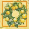 citron0047-2.jpg (3804 octets)