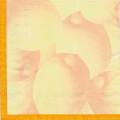 citron0048-1a.jpg (1693 octets)
