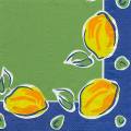 citron0049-1.jpg (3522 octets)