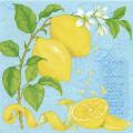 citron0052-1.jpg (3304 octets)