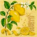 citron0052-2.jpg (3696 octets)