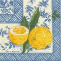 citron0054-1.jpg (4915 octets)