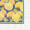 citron0055-1.jpg (3322 octets)