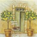 citron0057-1.jpg (3758 octets)