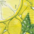 citron0058-1.jpg (3552 octets)