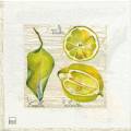 citron0059-1a.jpg (2757 octets)