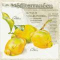 citron0059-1b.jpg (3277 octets)