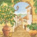 citron0060-1.jpg (4289 octets)