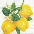 citron0061-1.jpg (3236 octets)