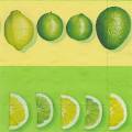 citron0062-1.jpg (2842 octets)