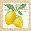 citron0063-1.jpg (3716 octets)