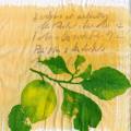 citron0064-1.jpg (3460 octets)