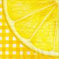 citron0066-1.jpg (2952 octets)