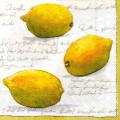citron0068-1.jpg (3559 octets)