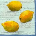 citron0068-2.jpg (3413 octets)