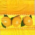 citron0070-1.jpg (3083 octets)