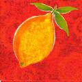 citron0071-1.jpg (3201 octets)