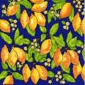 citron0072-1.jpg (6541 octets)